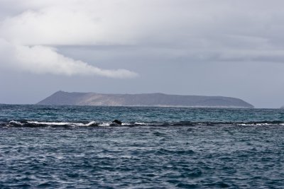 IMG_1771.jpg