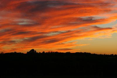 IMG_9501.JPG