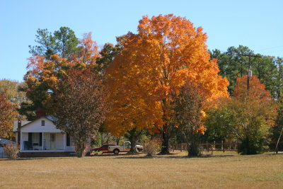 Fall in North Carolina