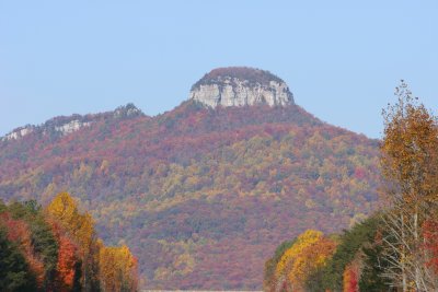IMG_9927.JPG