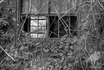 window1 small.jpg