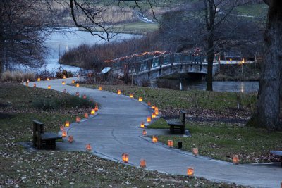 Powell Gardens Luminaries 2009