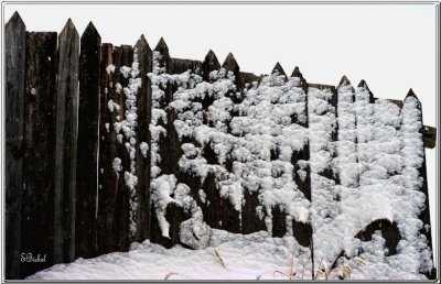 Snow on the Fence 2010