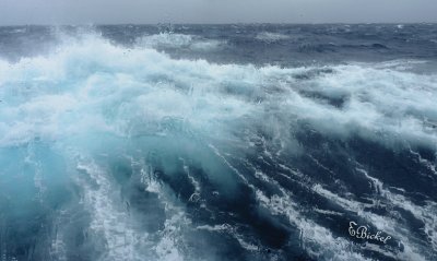 The Drake Passage