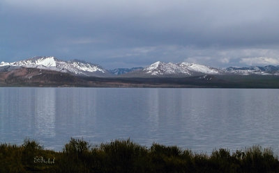 Lake Yellowstone