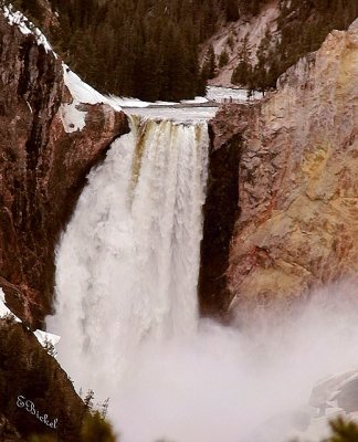 Yellowstone Falls