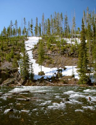 Lewis River