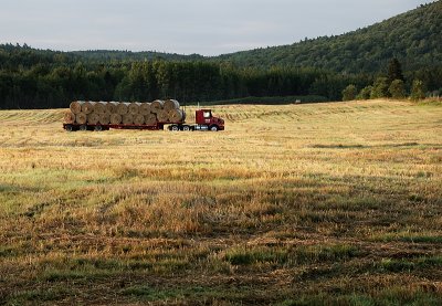 Gathering the harvest