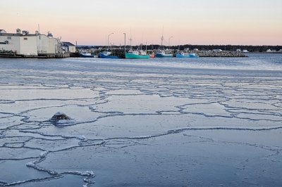 Early spring sea ice