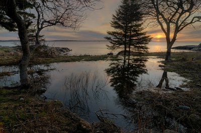 Sunrise and the reflecting pool