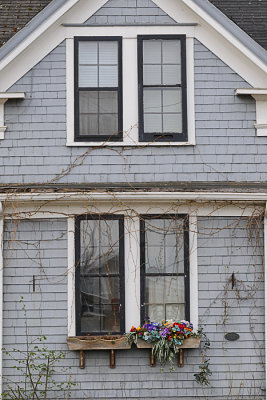 Window box