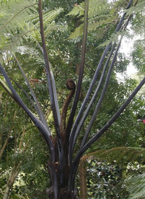 8771_Tresco Abbey Gardens.jpg