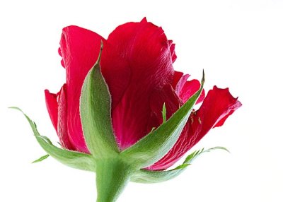 g3/92/798592/3/90530914.7DkU72k0.jpg