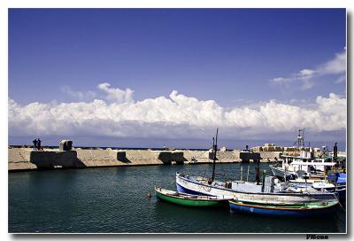 Jaffa Port in Spring