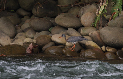 g3/92/811692/3/102126937.Of2OzMng.jpg
