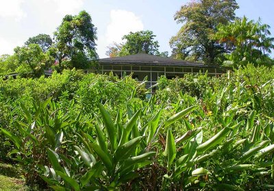 Asa Wright Centre Verandah