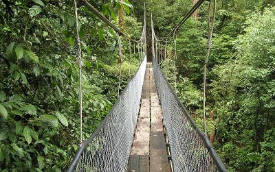 Birding at Heliconias Lodge