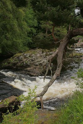 River Dochart