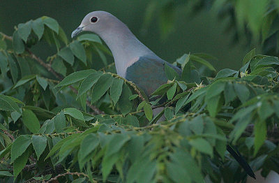 g3/92/811692/3/122661253.lBkIat5T.jpg