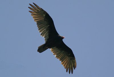g3/92/811692/3/89394406.j7yVoOXa.jpg