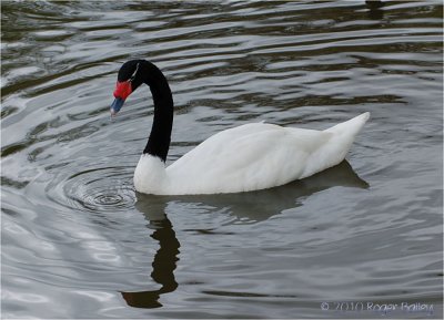 g3/92/829892/3/125099496.e5yj5s8T.jpg