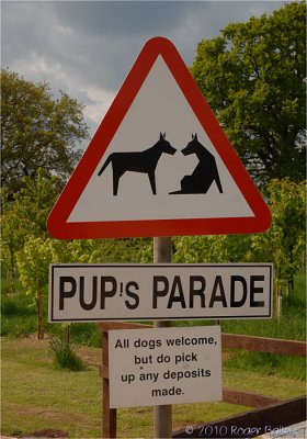 Pups Parade.