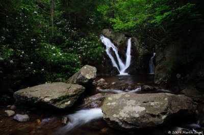 Cabin Creek Trail