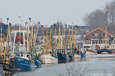 Winter at the Harbor