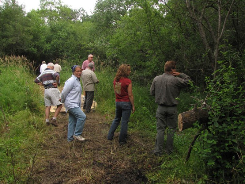 Springs trail6.jpg
