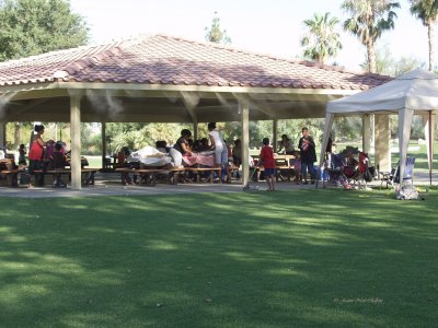 P7048407 gazebo with picnicers.jpg