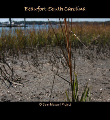 Beaufort South Carolina - Waterfront