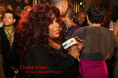 Legendary Chaka Khan on the Red Carpet at the Soul Train Music Awards Show in Atlanta on Nov 3rd 2009