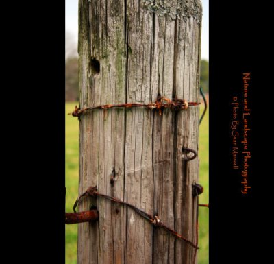 Fence Post with Barb Wires