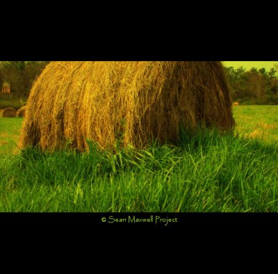 Bale of Straw in Field