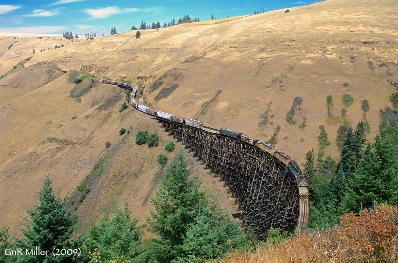 The Camas Prairie