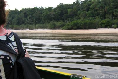 Rio Negro - Black river.jpg