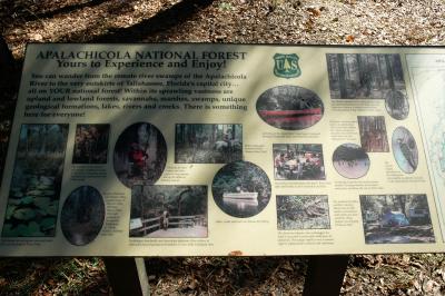 Sights to be seen in the Apalachicola National Forest