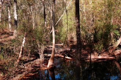 Fisher Creek Rise