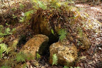 Fisher Creek Sink