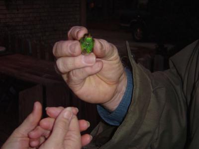 Fred Bassett holds the bird for Jody to see
