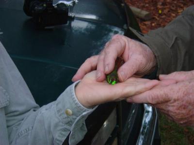 Fred places the bird in Claudia's hand for release