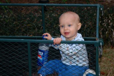 Riding in the wagon