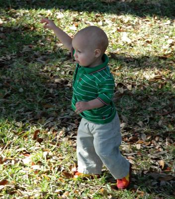 Running in the leaves