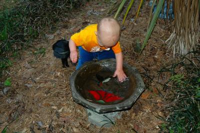 Hmmmm... a birdbath