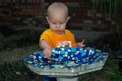 Playing in the birdbath