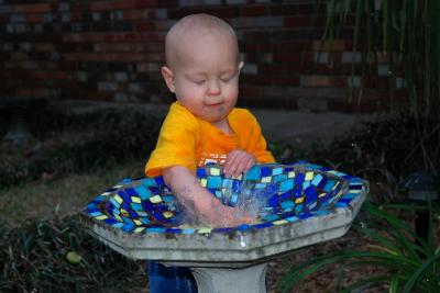 Splashing in the birdbath