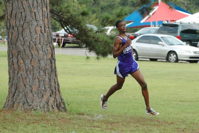 The leader rounds the finish tree