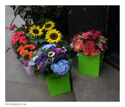 Flower Shop