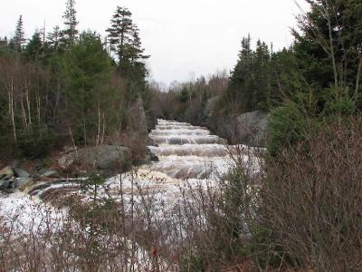 Fish Ladder