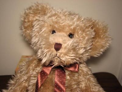 Bossy Bear